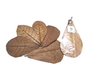 Almendra india de alta calidad, hojas de peces de acuario por debajo de 10 cm/3,93 ", paquete de 20 al mejor precio - Product Image 6