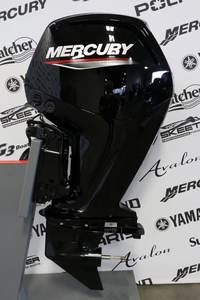 Moteur hors-bord neuf de qualité industrielle 75ELPT 75 ch à arbre de 20 pouces avec garantie de 3 ans - Product Image 4