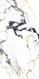 Carreaux de marbre chinois Nouvelle arrivée Carreaux de porcelaine vitrifiés Fabrication en Inde pour Banquete Hall. - Product Image 4