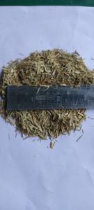 Meilleures ventes : Granulés de citronnelle Cymbopogon en vrac, qualité supérieure, pour infusions de plantes aromatisées et bienfaçantes - Product Image 4