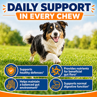 Friandises à mâcher probiotiques pour chiens, marque privée, pour la santé intestinale, soutien digestif, supplément prébiotique et probiotique pour animaux de compagnie, friandises molles