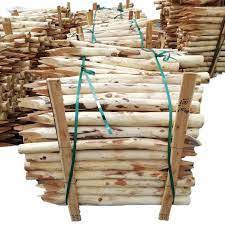 Bạch đàn, gỗ thông, Gỗ keo gỗ cứng Sharping 1 đầu sản phẩm số lượng lớn giá bán buôn - Product Image 6