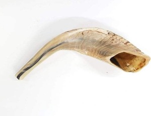 Shofar de Cuerno de Carnero Natural, Cuerno Religioso Tradicional Judío - Product Image 2