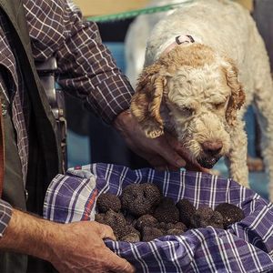 90g ô liu và hạnh nhân dán với Truffle aestivum vitt chất lượng thủ công Made in Italy thuần chay chay Halal - Product Image 2