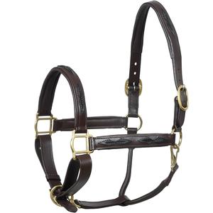 Halter de cuello de cabeza de caballo de color negro con accesorios de latón de cuero completamente elevados y acolchados Peines de curry - Product Image 2