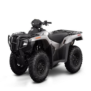 NUEVOS HONDA Rubicons EP-S Automáticos para EXPORTACIÓN - Product Image 2