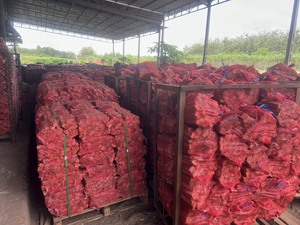 100% leña natural-leña con precio competitivo-estufas de leña-Exportación de leña dura a Corea - Product Image 5