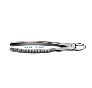 Forceps d'extraction de dents en acier inoxydable de haute qualité Fig.168 trotteur pour outil de chirurgie buccale dentaire chirurgicale des canines supérieures - Product Image 2