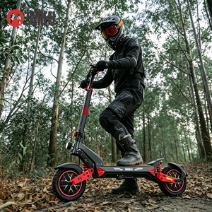 Patinete Eléctrico ZWHEEL D3 Todoterreno de Aleación de Aluminio, Llantas de 10 Pulgadas, 52 KM/H, Freno de Disco, Plegable, Impermeable, Motor de 1200 W, Litio - Product Image 6