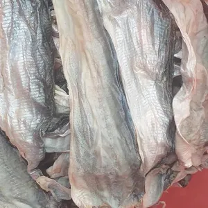 베트남 대량수출에서 최고 품질의 냉동 생선 껍질 수출