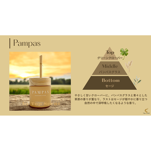Pampas Scented Product - Product Image 3