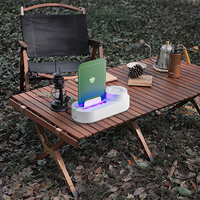 Piège à mouches portable à forte aspiration, attrape-moustiques silencieux, tueur d'insectes électrique pour chambre, restaurant et espaces intérieurs