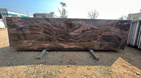 Pierre naturelle indienne Fantastico Granite couleur marron, surface polie, imperméable, finition moderne, comptoir pour construction de villa