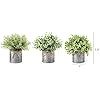Lot de 3 pots en métal galvanisé, plantes artificielles en pot d'eucalyptus pour buanderie, salle de bain, étagère, décoration de table - Product Image 4