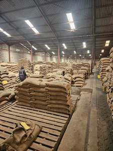 Granos de Café Tostado de Primera Calidad LAPIS 50% Arábica 50% Robusta - Product Image 5