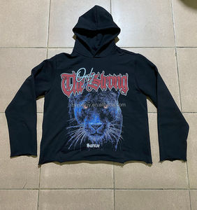 Sudaderas con capucha de gimnasio de invierno para hombre de rizo francés de algodón pesado con logotipo personalizado Unisex 100% algodón lavado con ácido diseño Vintage diamantes de imitación - Product Image 5