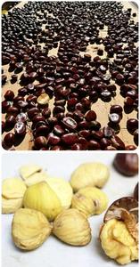 Castañas crudas disponibles a precios bajos al por mayor, ideales para distribuidores y proveedores de alimentos orgánicos en venta - Product Image 4