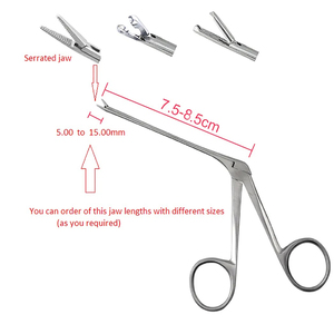Fórceps de embalaje nasal Ent Fórceps Nariz quirúrgica de acero inoxidable Tilley Vendaje nasal Fórceps de pólipo por rocas grises - Product Image 2
