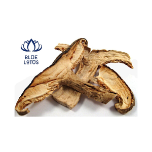 Seta de Shiitake seca Premium - Product Image 5