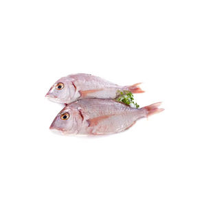 Pescado a granel de dorada roja congelada, compra en línea de pescado congelado de dorada roja fresca a la venta ahora - Product Image 6