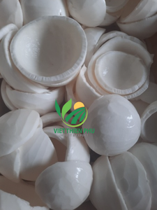 Carne de coco congelada Premium al por mayor-Carne de coco congelada de alta calidad-Hecho por VIET THIEN PHU de VIET NAM-Precio barato - Product Image 3