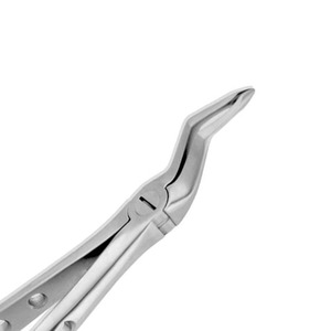 คีมถอนฟันสแตนเลสสำหรับการรักษาฟันเด็กดีไซน์ใหม่ - Product Image 2