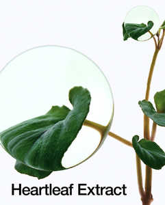 Tónico Calmante Heartleaf 77 de pH Equilibrado para el Cuidado de la Piel Coreana, 500 ml - Product Image 5