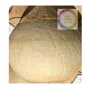NEW CROP <b>FRESH</b> YOUNG DIAMOND CUT <b>COCONUT</b> FROM VIETNAM PREMIUM EXPORT QUALITY SWEET WATER LONG SHELF LIFE - Product Image 6