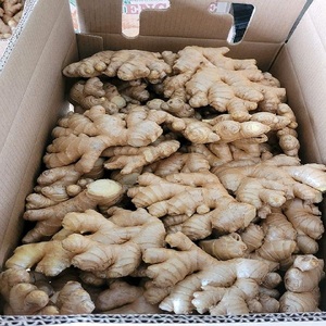 Gingembre frais pour une utilisation alimentaire à bas prix - Product Image 1