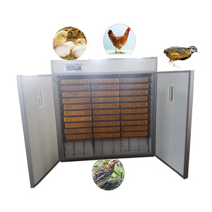 Tự động 5200 trứng gà setter lồng ấp ấp trứng/incubator với nở giỏ HJ-IH5280 - Product Image 2