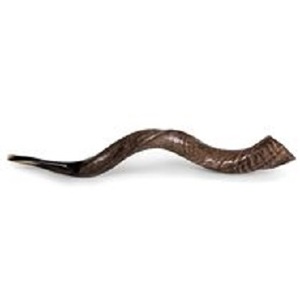 Vente en gros Grande corne de bélier Shofar casher Instrument de musique poli naturel utilisé à des fins religieuses juives - Product Image 3