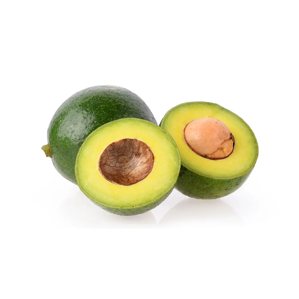 VERSORGUNG Hochwertiger grüner schöner runder Stand Avocado-Export unter Gefrier form
