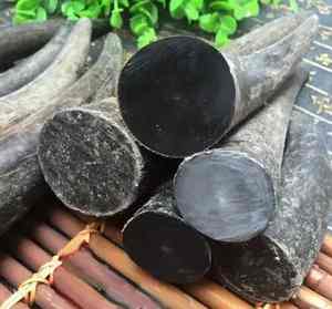 Puntas de Cuerno de Búfalo Ecológicas Personalizadas de Alta Calidad, Venta al por Mayor, Tallado Animal Moderno Natural, Técnica Pulida a Mano - Product Image 3