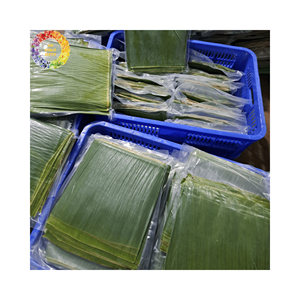 ใบกล้วยคุณภาพสูง 100% ธรรมชาติ สดใหม่ เป็นมิตรกับสิ่งแวดล้อม และเป็นผลิตภัณฑ์ทางการเกษตรที่ส่งออกจากเวียดนามสำหรับห่ออาหาร - Product Image 1