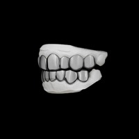 Grilles dentaires complètes de style gothique personnalisées, noir et argent, motif crocs de vampire, finition chrome poli, pour dents supérieures et inférieures, bijoux dentaires fins