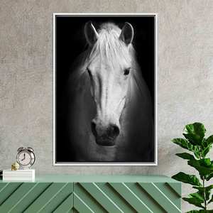 Lienzo Impreso: Impresión Fotográfica de Caballo Blanco, Arte de Pared Estilo Rústico, Lienzo con Marco Blanco - Product Image 1