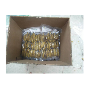 Tranches de banane tropicales mûres et sucrées (10 mm/20 mm), surgelées IQF de qualité supérieure, provenant d'une usine au Vietnam, de haute qualité. - Product Image 2
