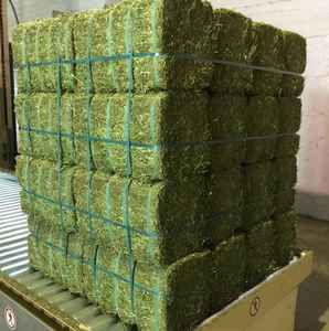 100% pacas de heno de alfalfa natural de Pakistán de alta proteína y fibra para alimentación de ganado para exportación directa de fábrica - Product Image 5