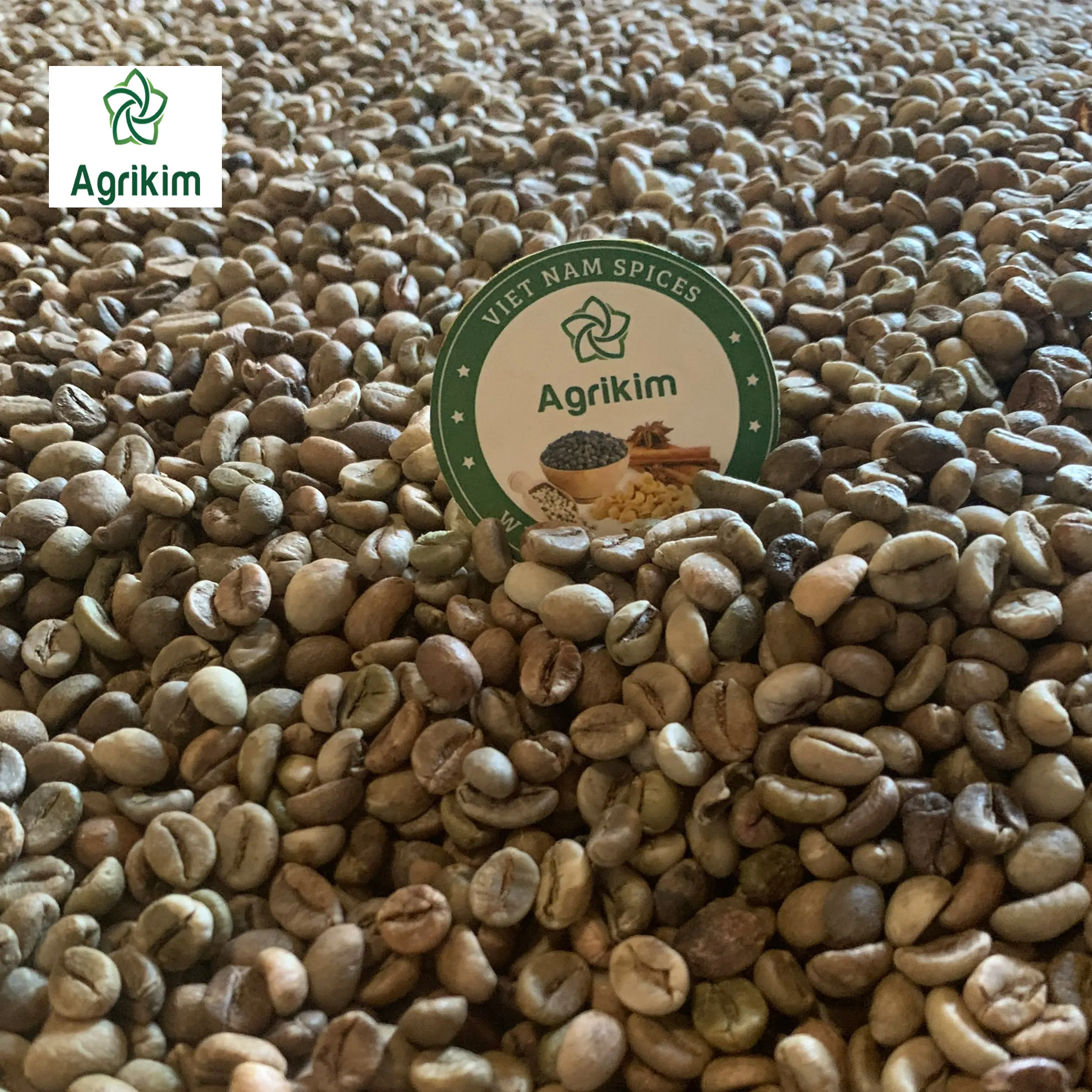 [free sample] raw coffee beans coffee beans arabica robusta roasted coffee beans with the best price from vietnam +84363565928