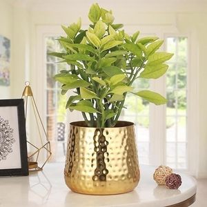 Jardinière de fleurs ronde en métal martelé doré de meilleure qualité pour la décoration de table de la maison - Product Image 1