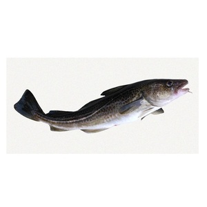 Pescado Fresco de Bacalao del Atlántico / Filetes, Compre en Línea, Oferta al por Mayor, Fabricante, Proveedor de Stock al por Mayor - Product Image 2