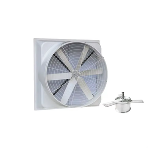 LISTO PARA ENVIAR - Mejor Oferta de Ventilador de Fibra de Vidrio de Bajo Voltaje y Alta Potencia, Ventilador de Presión Negativa FRP para Granjas Avícolas - Comprar Ventilador de Refrigeración - Product Image 1