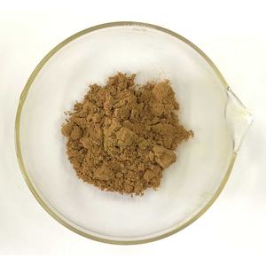Поставка чистый натуральный органический экстракт корня имбиря порошок 4:1-20:1 - Product Image 2