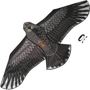 ว่าวเส้นเดี่ยว Bdt ของเล่นกลางแจ้ง *Eagle* พร้อมอุปกรณ์ สายยาว 50 ม. ขนาด 180x85 ซม. - Product Image 1