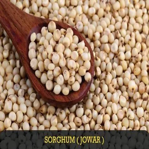 Sorgho et millet naturels de qualité supérieure, marque Radiance Global Foods, fabriqués et transformés en Inde, conformes aux normes élevées, 12 mois - Product Image 4