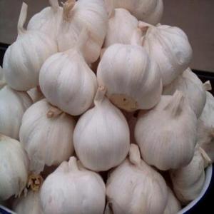 Ajo Congelado GMO de Primera Calidad, Vegetales Mixtos a Granel de Tailandia, Mejor Precio de Ajo Fresco Congelado IQF de Alta Calidad - Product Image 2