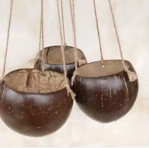 Handcrafted Coconut Shell <b>Vase</b> | Eco-Friendly Natural Decorative <b>Vase</b> from Vietnam - Product Image 6