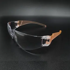 Schutzschild brille