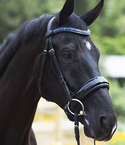 Bride de cheval de conception anatomique Bride en cuir de cheval anatomique - Product Image 6