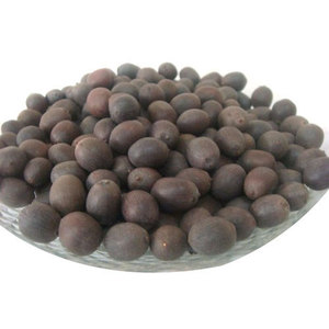 Noix de lotus congelée savoureuse naturelle de haute qualité dans un sac sous vide - Product Image 3